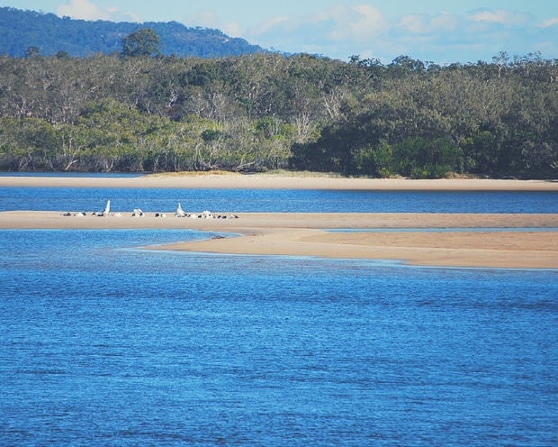 Noosa River
