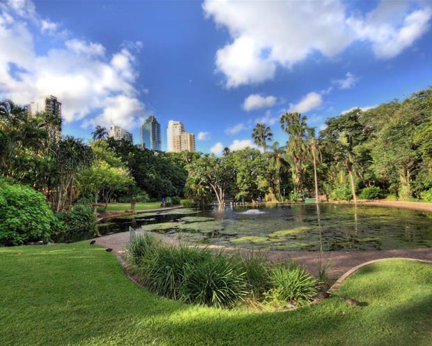 Brisbane Botanical Gardens
