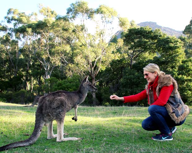 fleece jacket pack australia