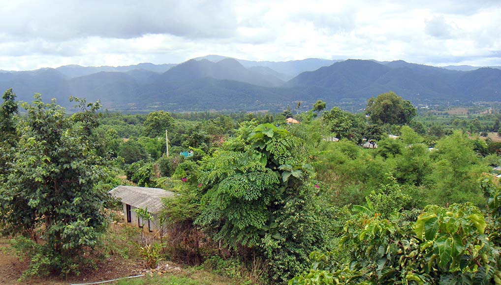 green landscape around Pai in Thailand