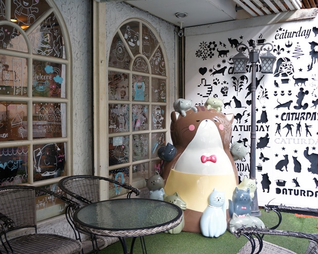 Caturday Cat Cafe in Bangkok entrance
