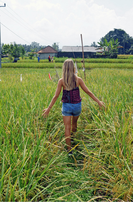 14 days itinerary in bali