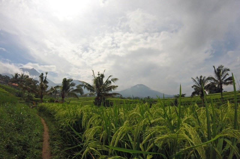 Bali itinerary two weeks