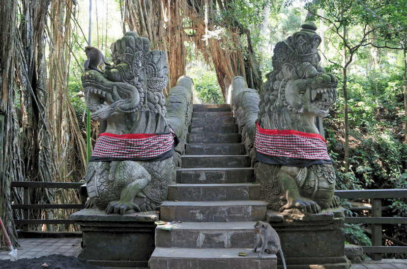 Ubud Monkey Forest