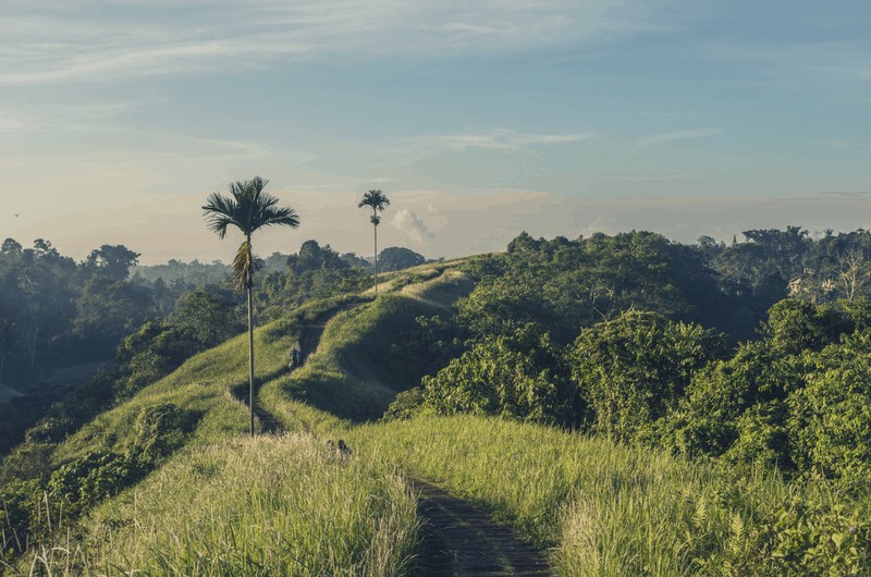Ubud what to do walk the Campuhan Ridge Walk