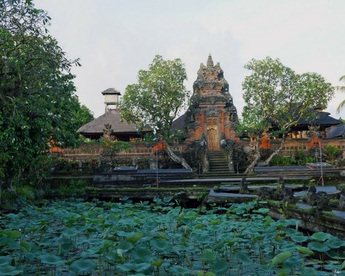 Ubud Lotus Temple