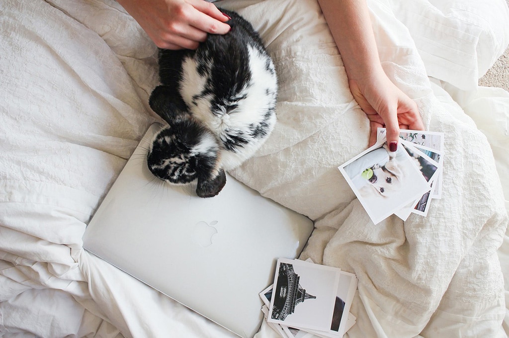 best place to find remote jobs