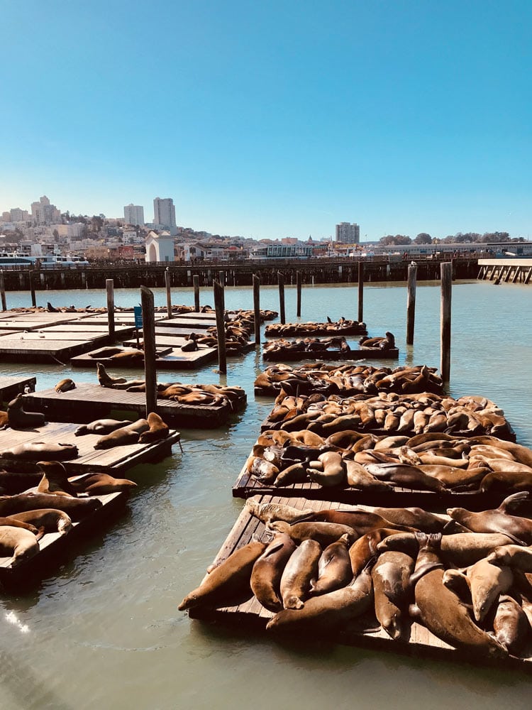 San Francisco Pier39