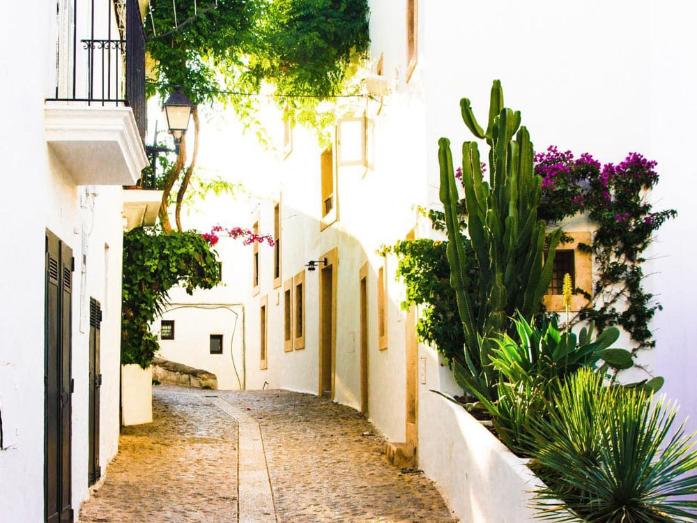 Ibiza yoga retreat