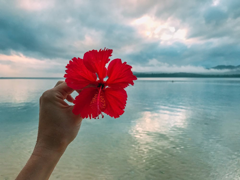 new caledonia travel guide