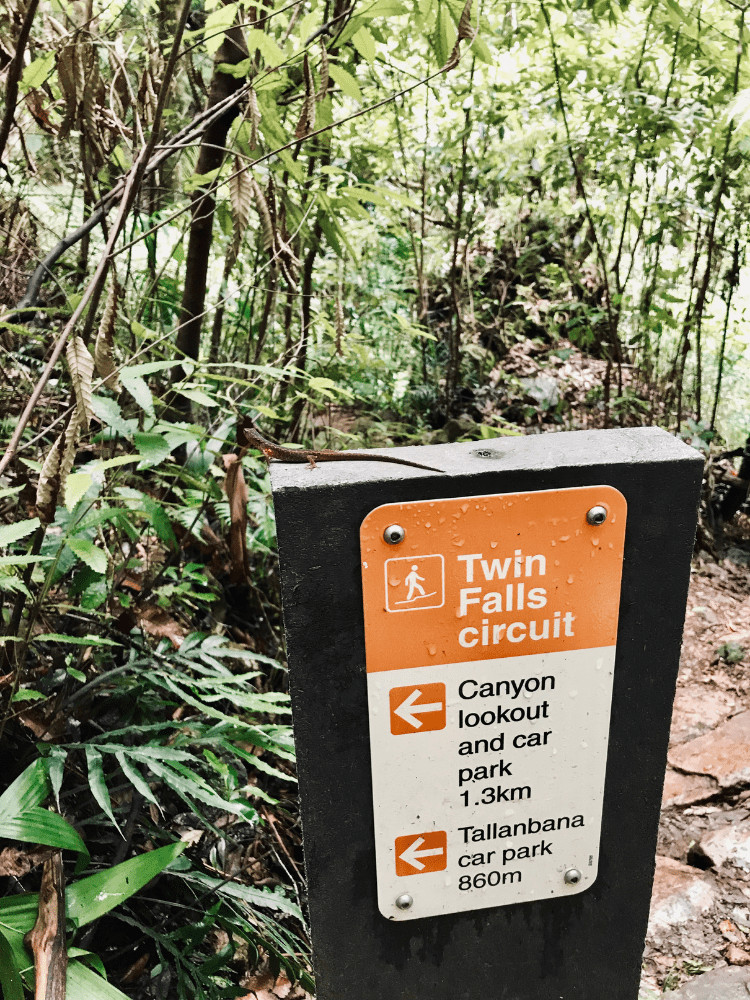 gold coast day trips hike to Twin Falls
