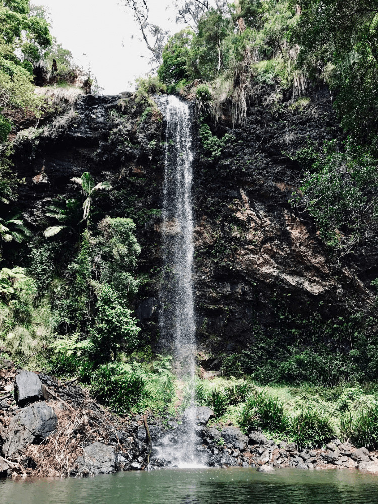 day trips from gold coast to see waterfalls in the hinterland