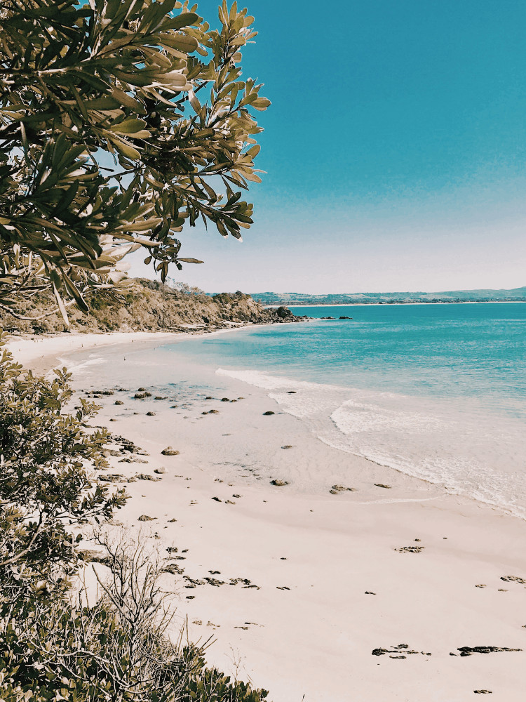 day tours from gold coast to Byron Bay