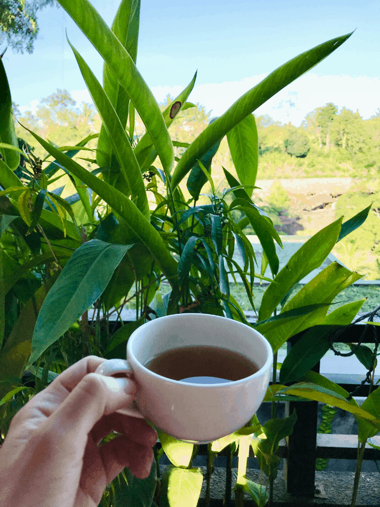 Yoga Retreat Blooming Lotus