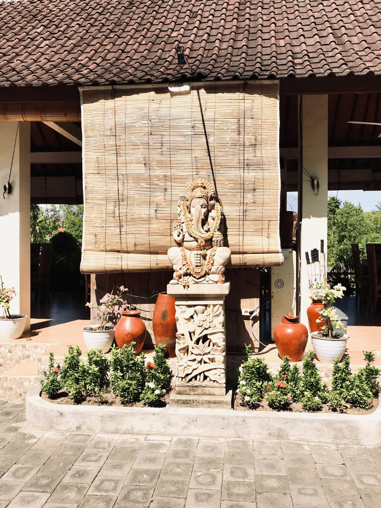 Review of Blooming Lotus Yoga Retreat