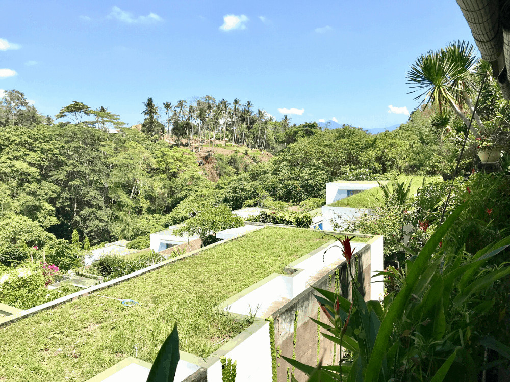 Yoga Retreat Bali Review of Blooming Lotus
