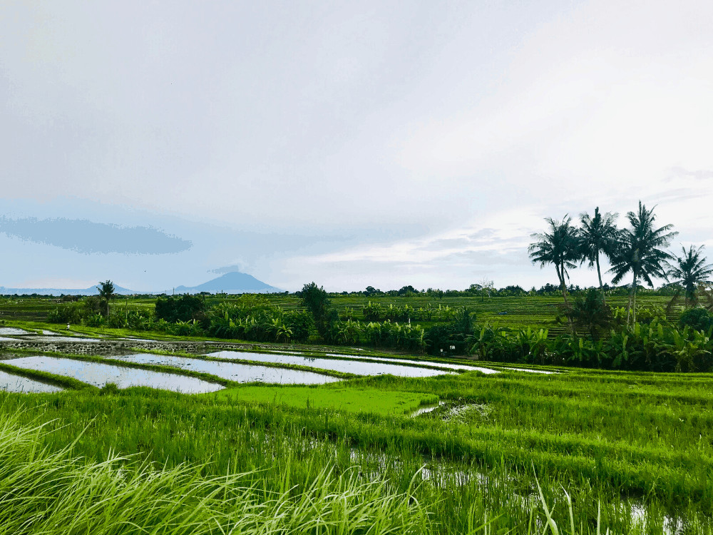 How to travel to Canggu
