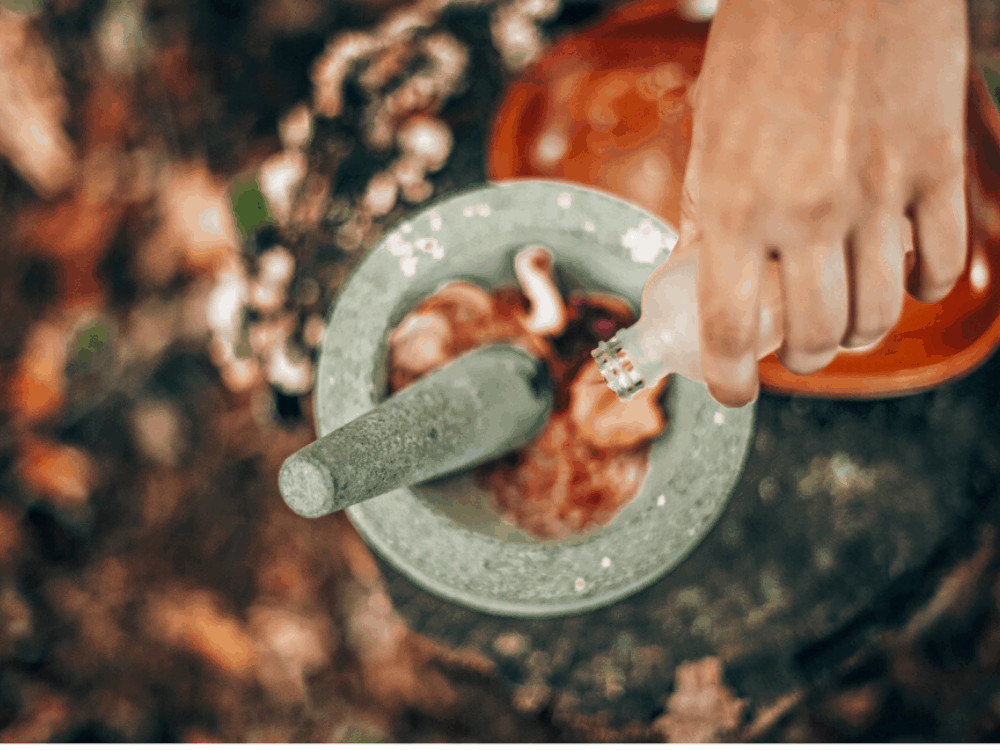 Retreats in India Ayurveda