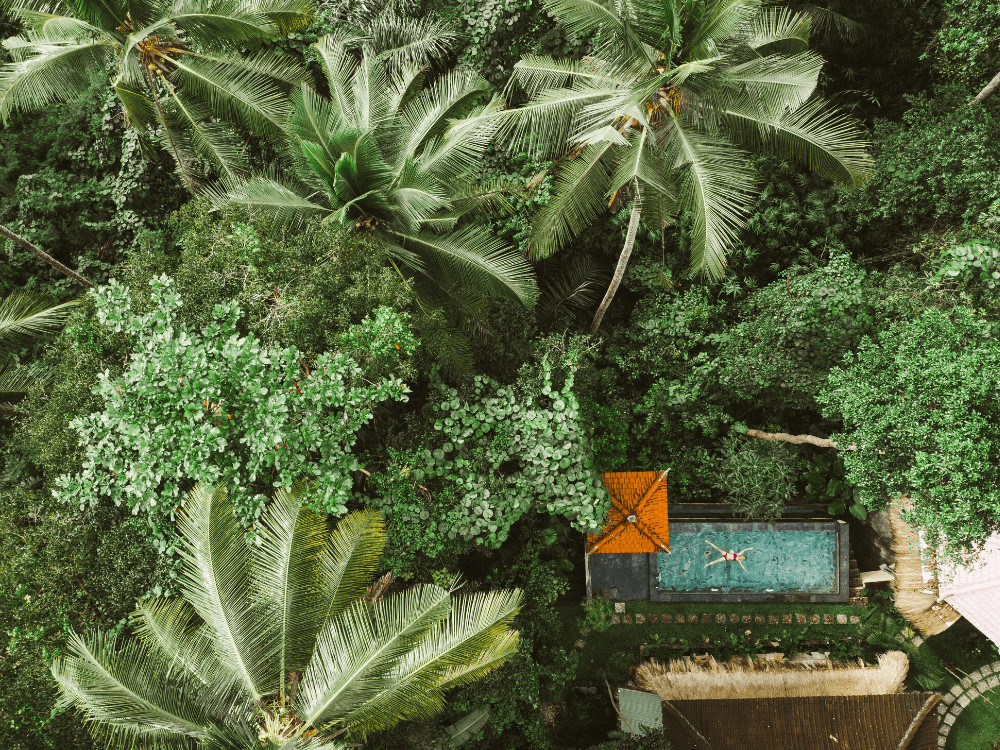 Luxury villa Ubud