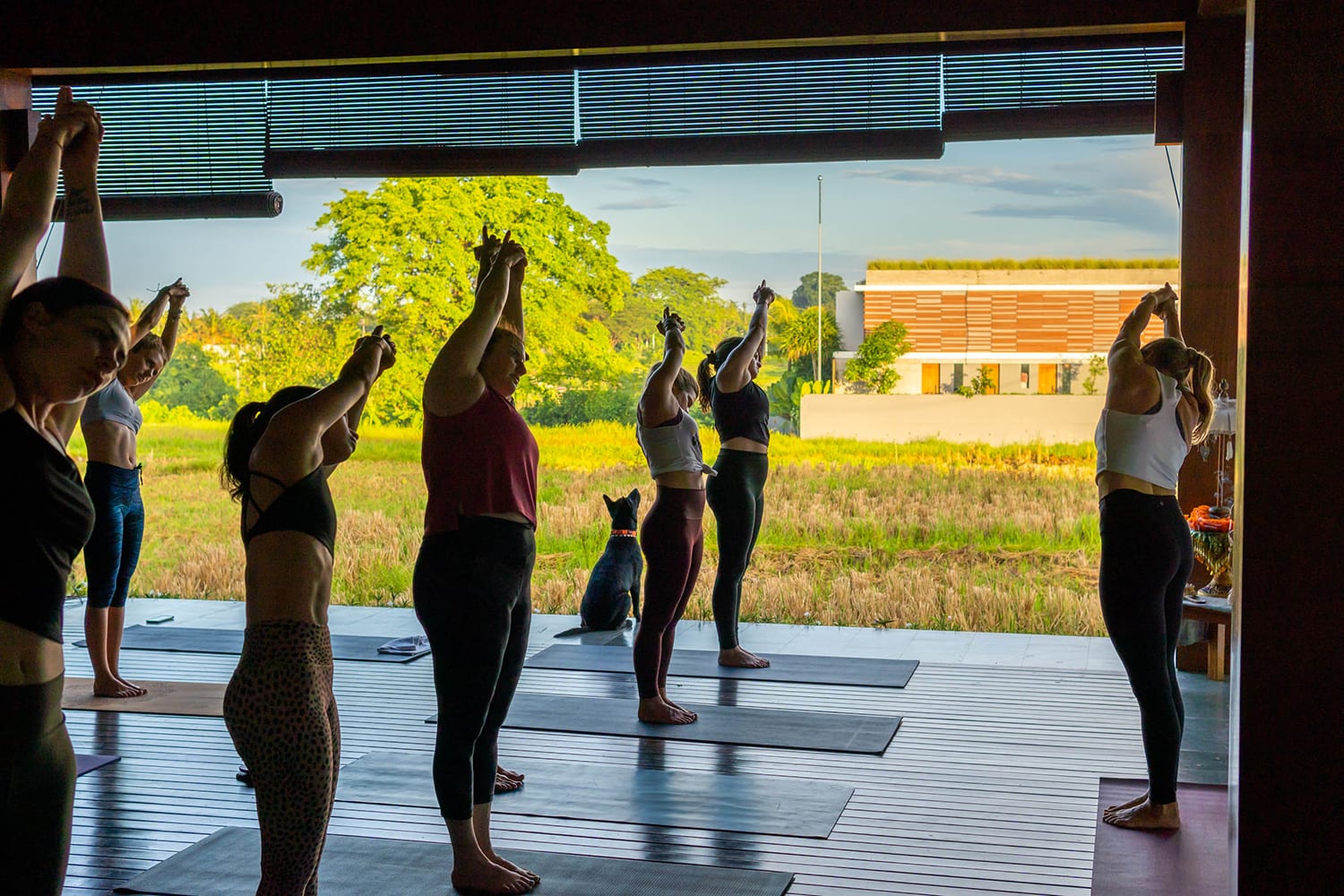 Loka Yoga School Canggu