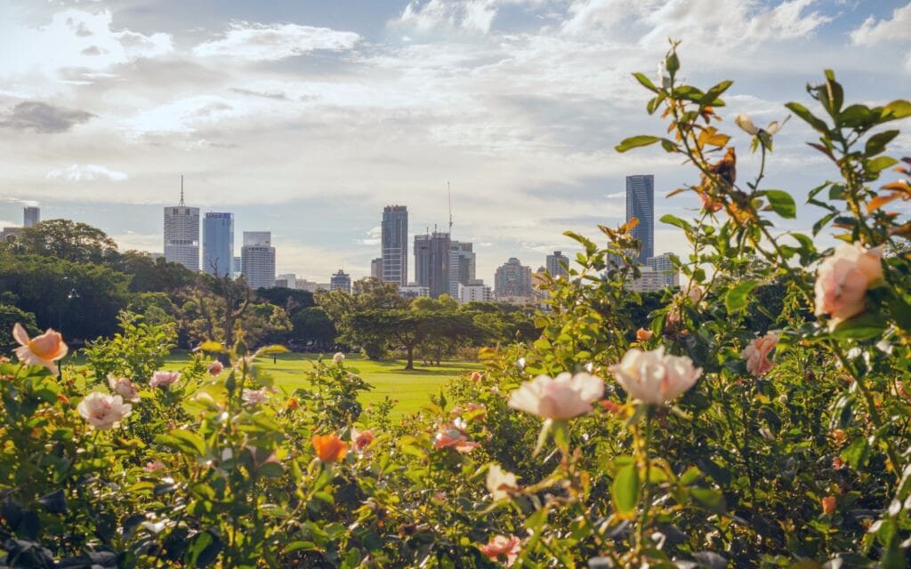 New Farm Teneriffe Brisbane