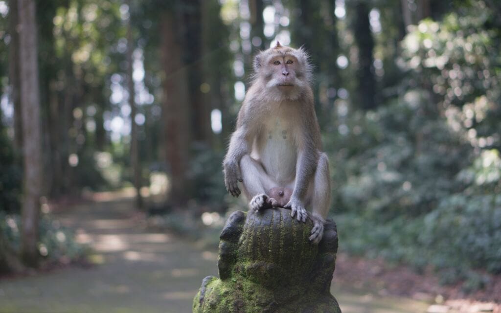 hidden gems in Bali