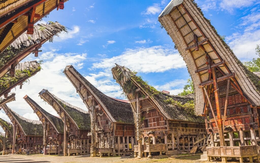 Sulawesi