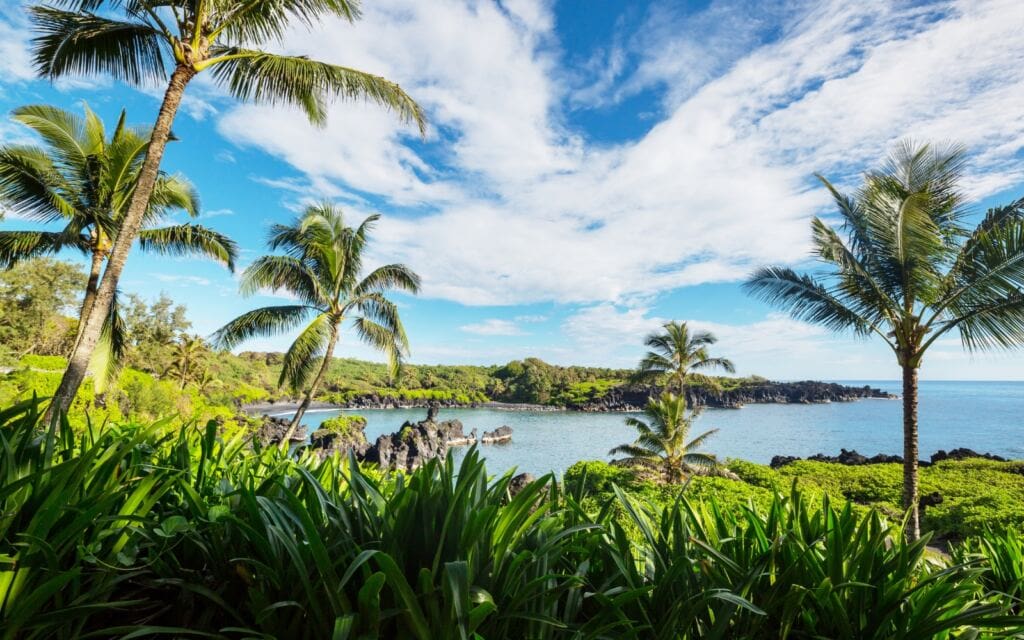 yoga retreat in Maui