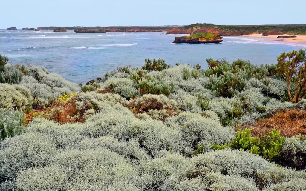 great ocean road accommodation