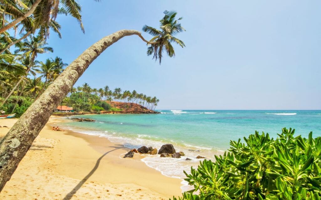 where to stay in mirissa - mirissa beach