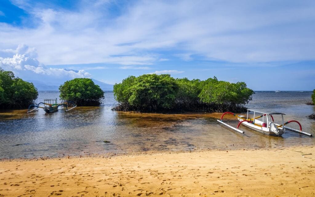the best nusa penida day trips - lembongan trip