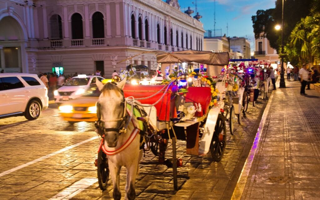 Merida nightlife