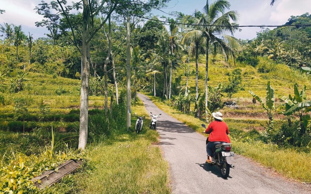 bali scenery