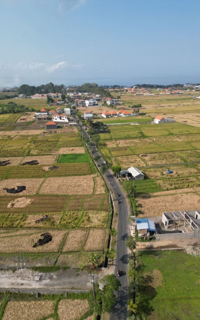 riding a scooter through the ricefields in Bali