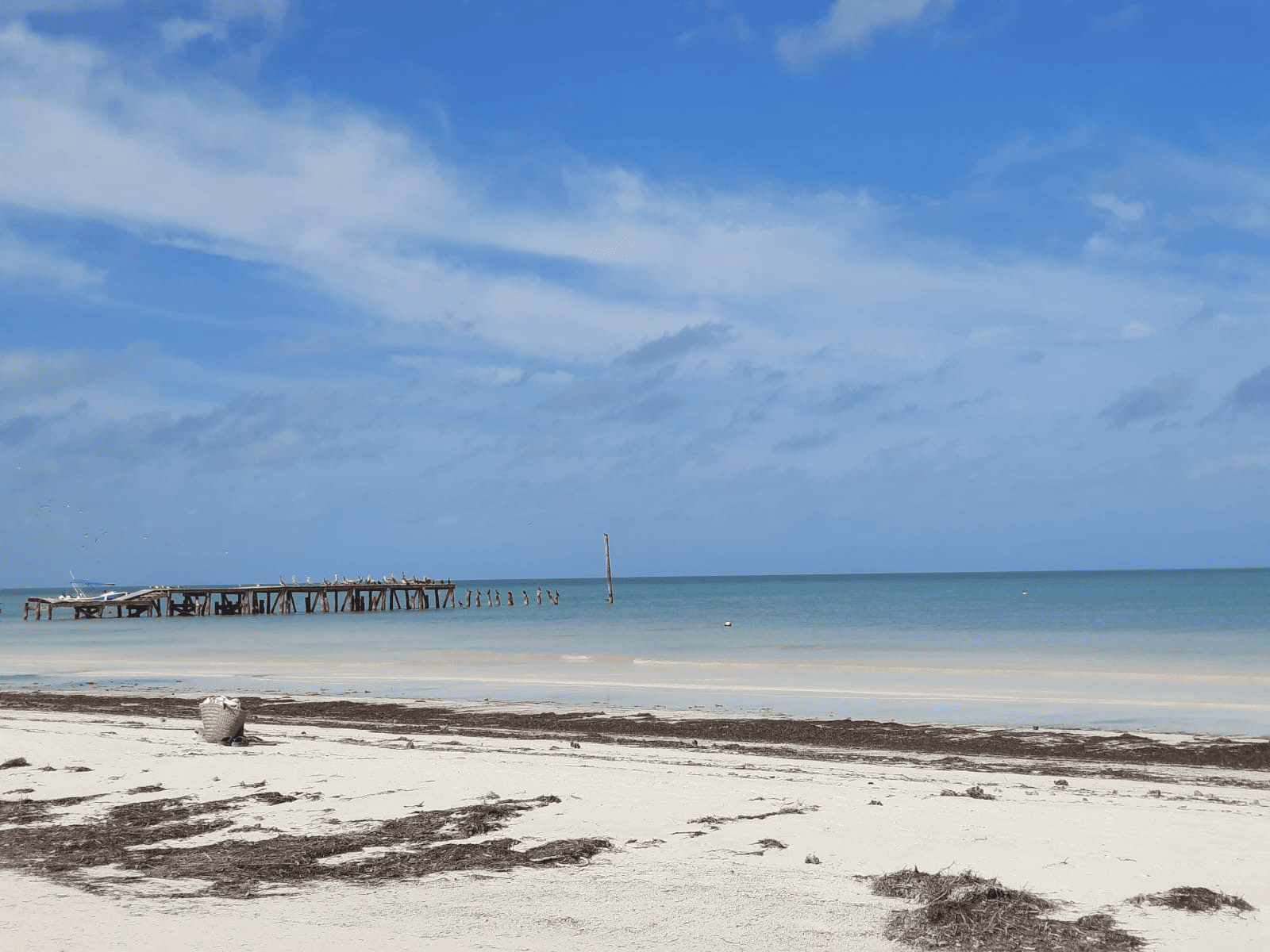 isla holbox travel guide