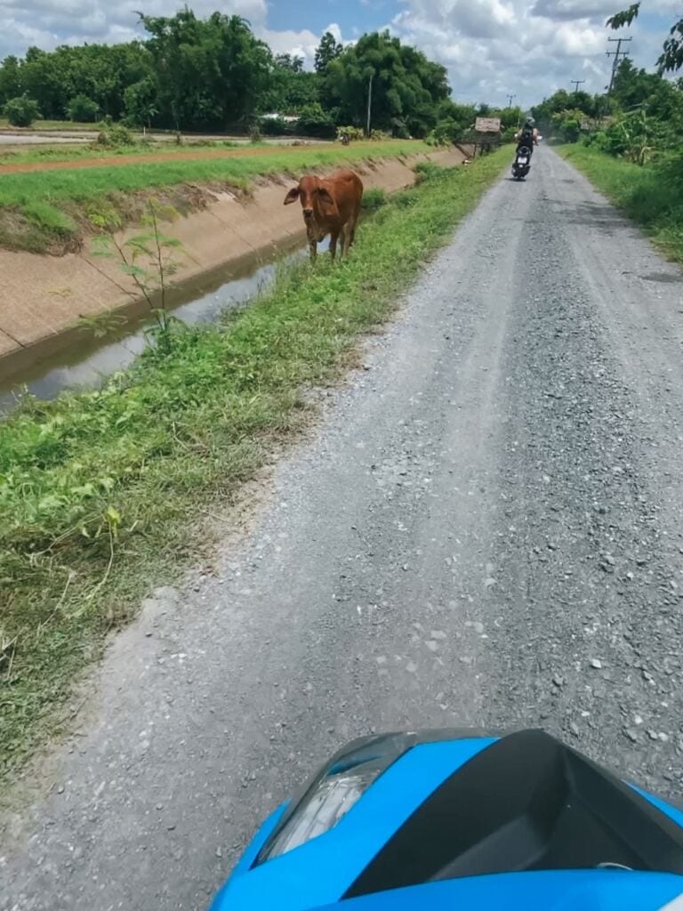 roads can be unpaved on day trips outside Chiang Mai