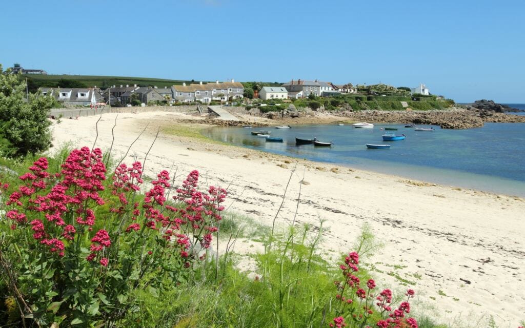 Photo of Old Town Beach Red Valerian, St. Mary's, Isles of Scilly, Cornwall UK