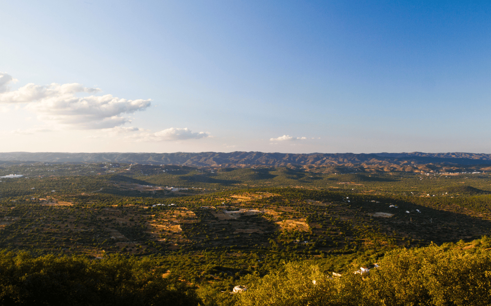 Estoi