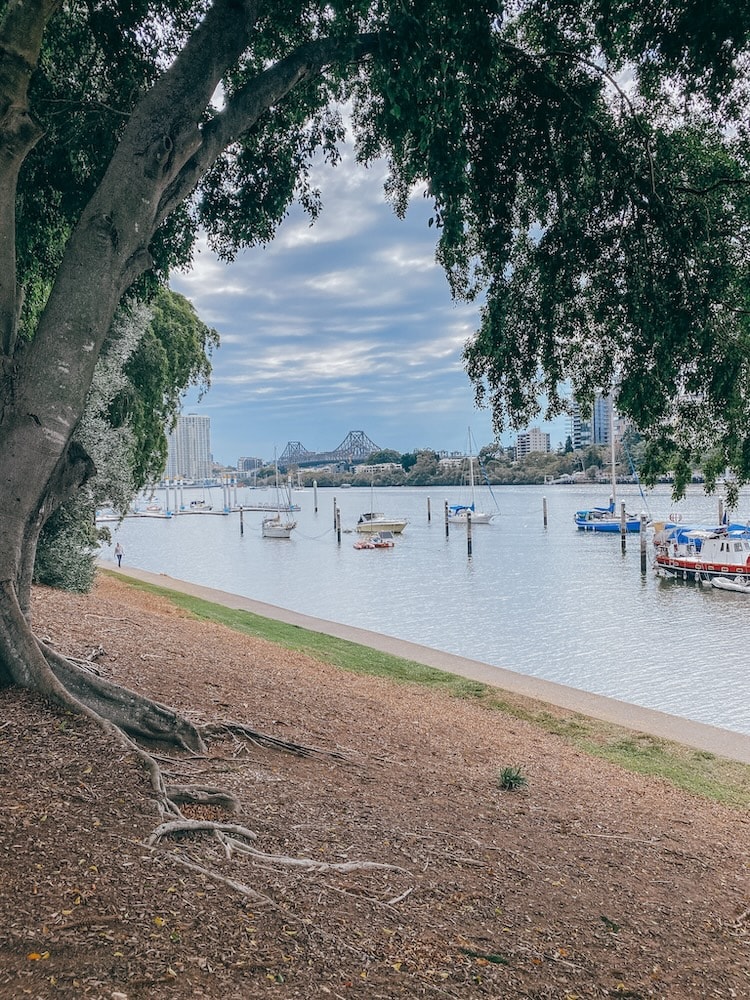 Brisbane City Botanic Gardens