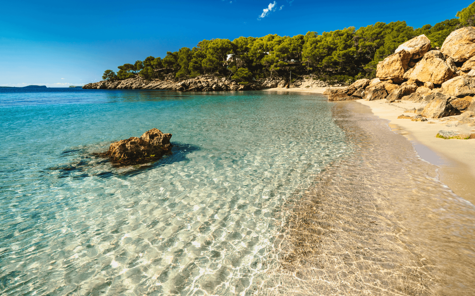 beach in Ibiza