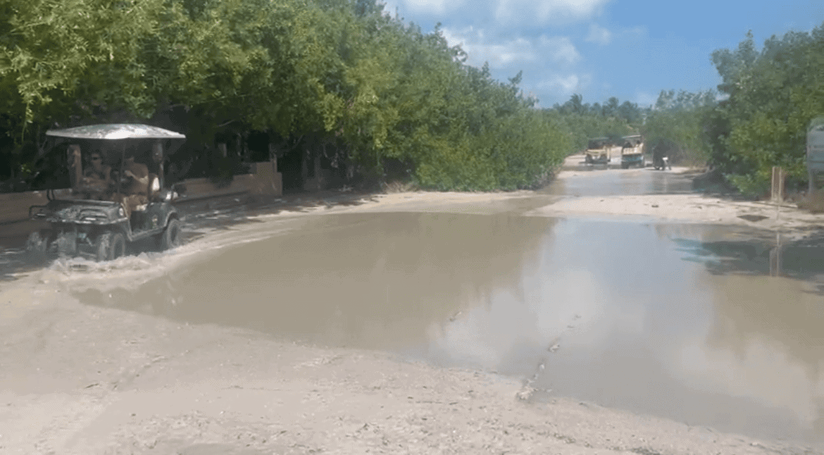 isla holbox travel guide