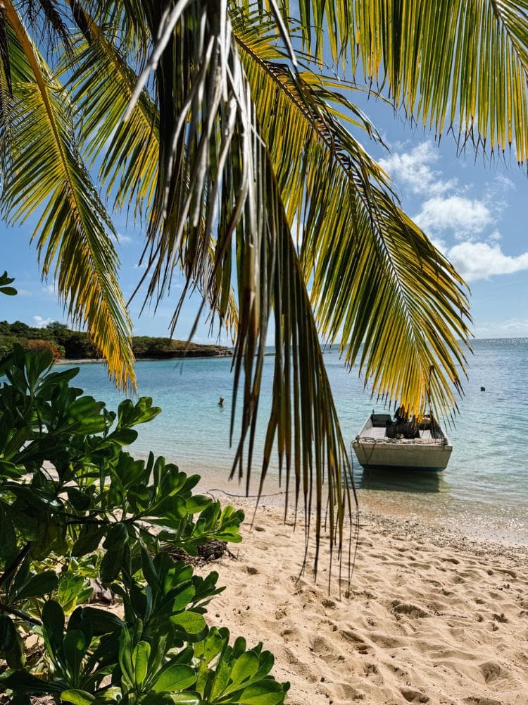 Barefoot Manta Island Fiji