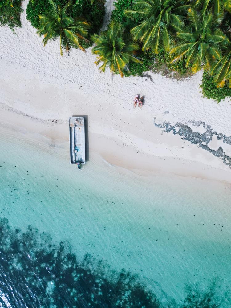 Beach with turquoise water and lush tropical palm trees, perfect for relaxing vacations.