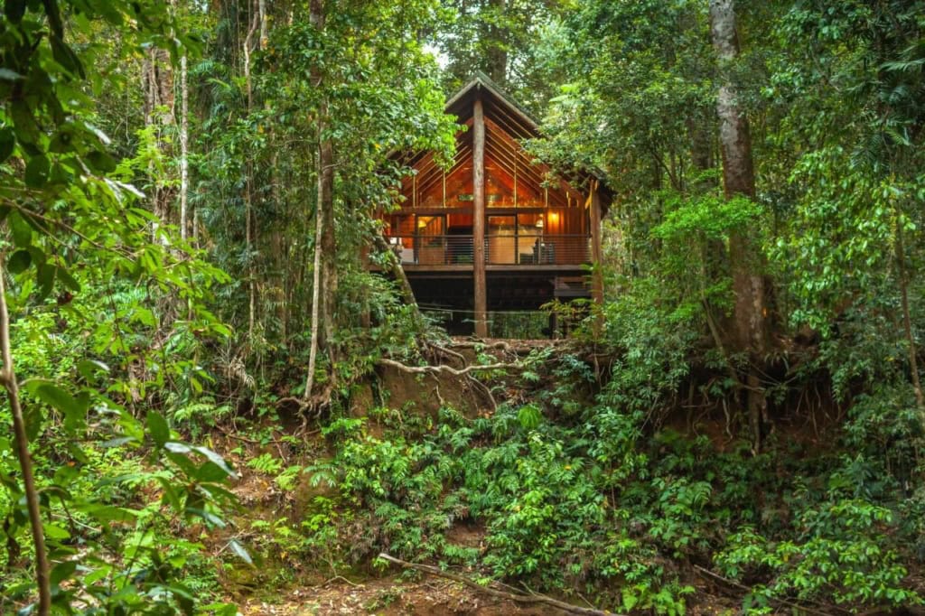 The Canopy Rainforest Treehouses