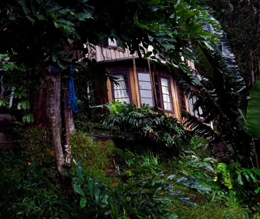 The Den of the Treehouse