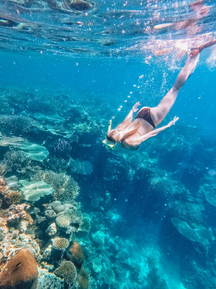 snorkelling in fiji