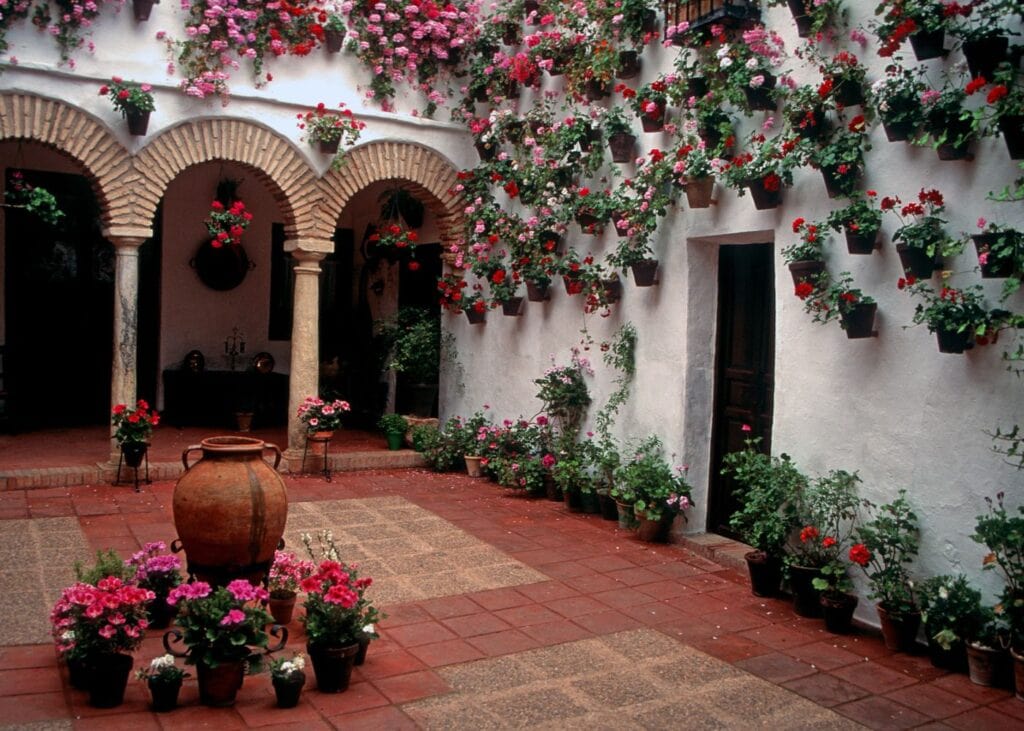 Patio Festival, Cordoba with colorful flowers hanging on the wall