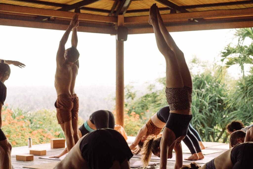 The Sacred Fig yoga teacher trainings Bali and Portugal