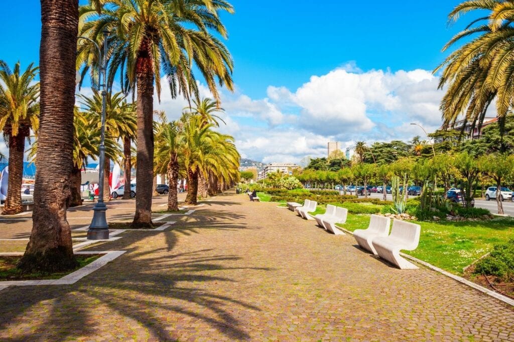 Palm trees and benches in the walking garden of La Spezia