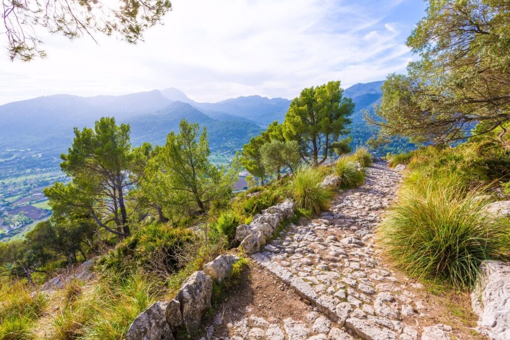 view from the top at Puig de randa